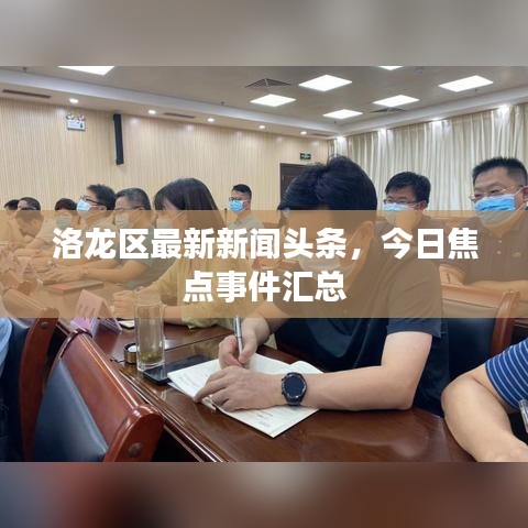 洛龍區(qū)最新新聞頭條，今日焦點(diǎn)事件匯總