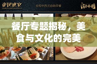 餐廳專題揭秘，美食與文化的完美交融之旅