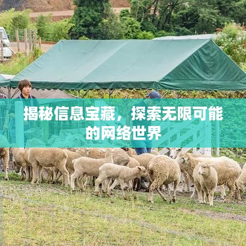 揭秘信息寶藏，探索無(wú)限可能的網(wǎng)絡(luò)世界