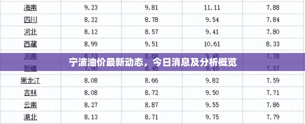 寧波油價最新動態(tài)，今日消息及分析概覽