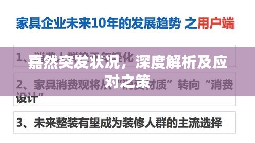 嘉然突發(fā)狀況，深度解析及應(yīng)對之策