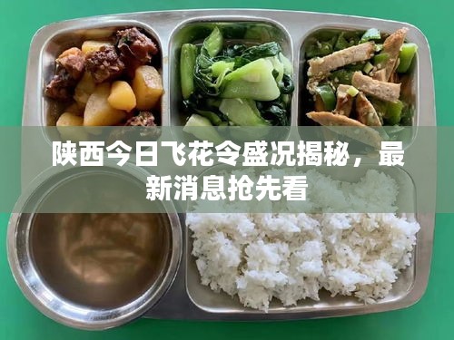 陜西今日飛花令盛況揭秘，最新消息搶先看