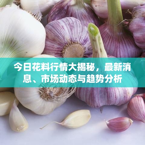 今日花料行情大揭秘，最新消息、市場動態(tài)與趨勢分析