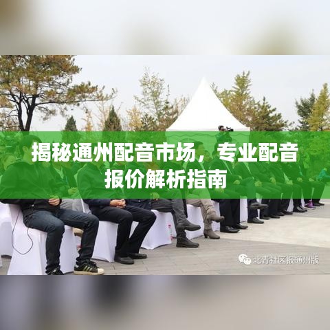 揭秘通州配音市場，專業(yè)配音報價解析指南