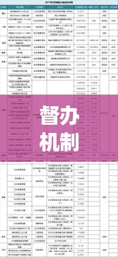 督辦機(jī)制強(qiáng)化實施，推動工作高效落實的秘訣！