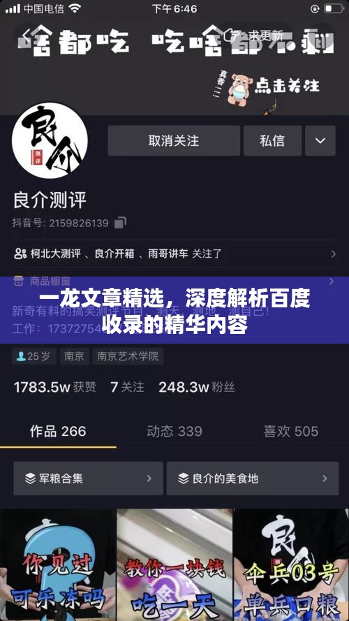 一龍文章精選，深度解析百度收錄的精華內(nèi)容