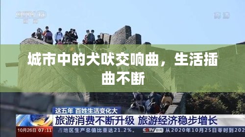 城市中的犬吠交響曲，生活插曲不斷