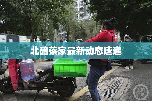 瑞雪紛飛
