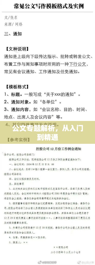 公文專題解析，從入門到精通
