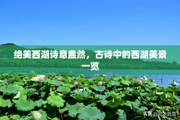 絕美西湖詩意盎然，古詩中的西湖美景一覽