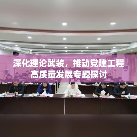 深化理論武裝，推動黨建工程高質(zhì)量發(fā)展專題探討
