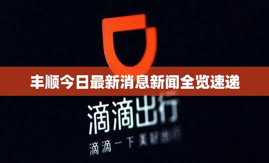 豐順今日最新消息新聞全覽速遞