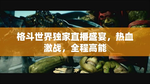 格斗世界獨家直播盛宴，熱血激戰(zhàn)，全程高能